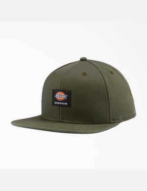 Dickies Skateboarding Planos Bill Verde Oliva Verdes | CFXRTV053