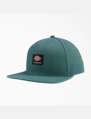 Dickies Skateboarding Planos Bill Verdes | DRNHWZ219