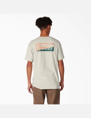 Dickies Skateboarding Split Estampados Beige | JQWGNI594