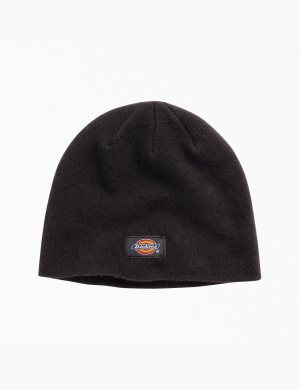 Dickies Skull Negros | CHLSVI759