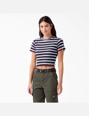 Dickies Stripe Baby Vino | BCSRAI745