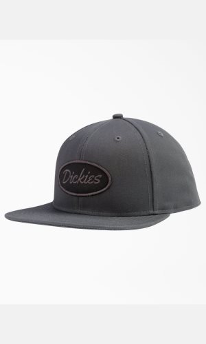 Dickies Twill Planos Bill Grises | QLEAXU408