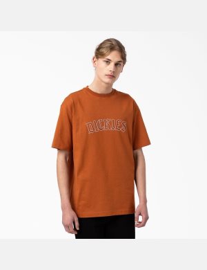Dickies Union Springs Corta Sleeve Marrom | KSPUGQ401