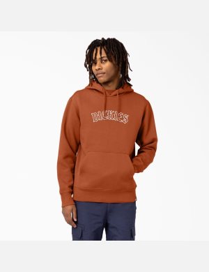 Dickies Union Springs Logo Marrom | UBNDPV024