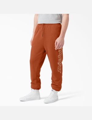 Dickies Uniontown Marrom | QEOLNR510