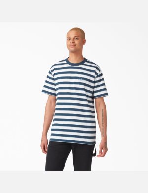 Dickies Vincent Alvarez A Rayas Azules | RCJILU324