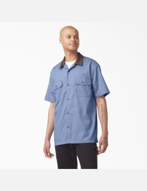 Dickies Vincent Alvarez Block Collar Azules | CNXIGK157