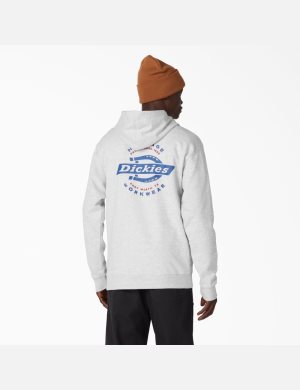 Dickies Vintage Logo Estampados Grises | ITDCRB412