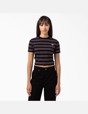 Dickies Westover Stripe Corta Sleeve Negros | BIPHXE312