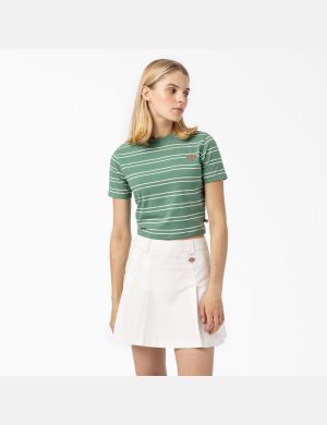 Dickies Westover Stripe Corta Sleeve Verdes Oscuro | APUWBD731